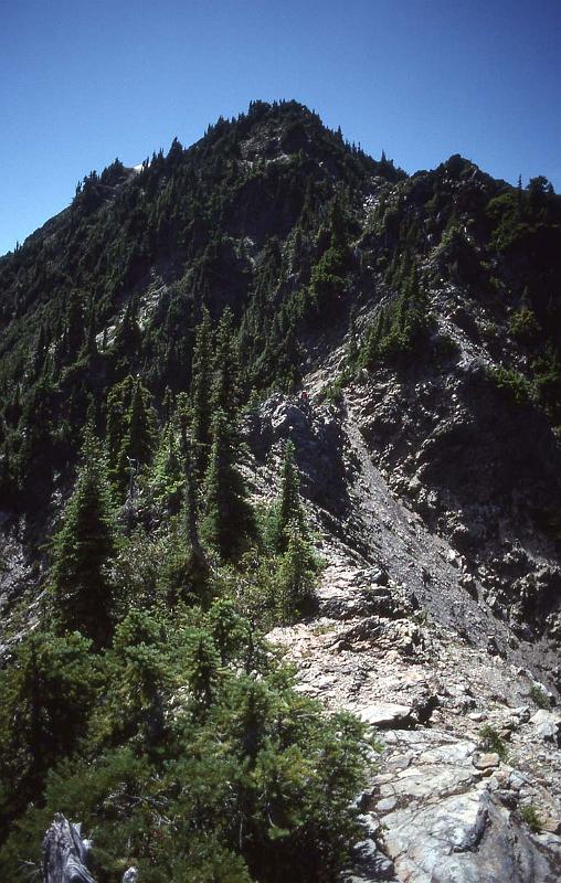 Bailey Trav 055 Aug-1989 Descending Ludden Pk.jpg